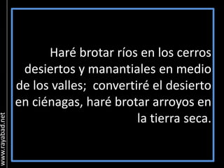 DóNde Se Cayo Tu Hacha