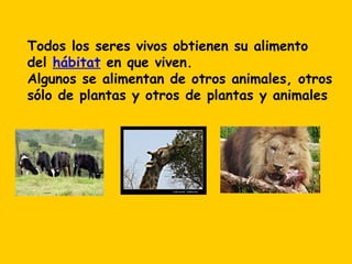 Dónde viven los animales | PPT