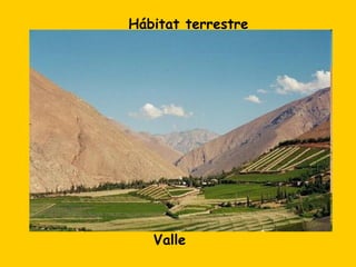 Hábitat terrestre




   Valle
 