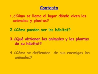 Contesta
1.¿Cómo se llama el lugar dónde viven los
 animales y plantas?

2.¿Cómo pueden ser los hábitat?

3.¿Qué obtienen los animales y las plantas
  de su hábitat?

4.¿Cómo se defienden de sus enemigos los
  animales?
 