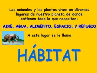 Los animales y las plantas viven en diversos
     lugares de nuestro planeta de donde
        obtienen todo lo que necesitan:
AIRE, AGUA, ALIMENTO, ESPACIO, Y REFUGIO

           A este lugar se le llama
 