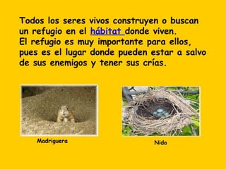 Todos los seres vivos construyen o buscan
un refugio en el hábitat donde viven.
El refugio es muy importante para ellos,
pues es el lugar donde pueden estar a salvo
de sus enemigos y tener sus crías.




    Madriguera                 Nido
 