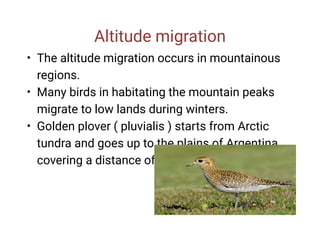 Altitude migration
•
•
•
The altitude migration occurs in mountainous
regions.
Many birds in habitating the mountain peaks
migrate to low lands during winters.
Golden plover ( pluvialis ) starts from Arctic
tundra and goes up to the plains of Argentina
covering a distance of 11,250 km
 