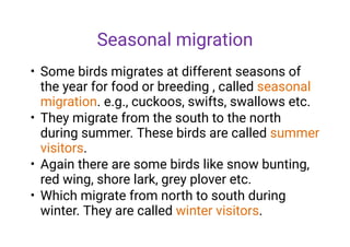 Seasonal migration
•
•
•
•
Some birds migrates at different seasons of
the year for food or breeding , called seasonal
migration. e.g., cuckoos, swifts, swallows etc.
They migrate from the south to the north
during summer. These birds are called summer
visitors.
Again there are some birds like snow bunting,
red wing, shore lark, grey plover etc.
Which migrate from north to south during
winter. They are called winter visitors.
 