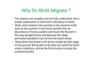 •
•
•
The reasons are complex and not fully understood. But a
simple explanation is food and a safe place to breed.
Birds which breed in the summer in the extreme north
such as the summer in the Arctic beneﬁt from an
abundance of food as plants and insect life ﬂourish in
the long daylight hours; and because few large
permanent predators can survive the harsh winter.
Many birds that breed in the Arctic simply lay their eggs
on the ground. Being able to ﬂy, they can avoid the harsh
winter conditions, and be the ﬁrst to arrive to enjoy the
summer beneﬁts.
Why Do Birds Migrate ?
 