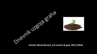 Učenik: Mario Berović ,5.b razred, šk.god. 2017./2018.
 