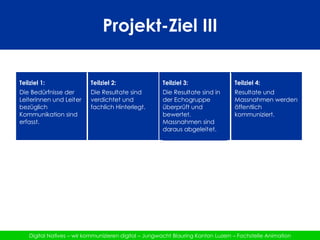 Projekt-Ziel III