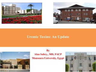 Uremic Toxins: An Update
By
Alaa Sabry., MD, FACP
Mansoura University, Egypt
 