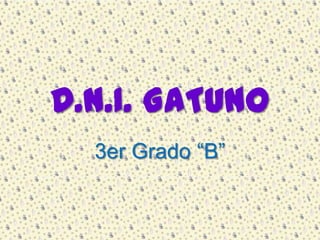 D.N.I. GATUNO 3er Grado “B” 