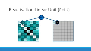 Reactivation Linear Unit (ReLU)
 