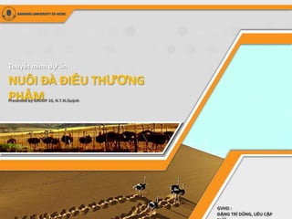 BANKING UNIVERSITY OF HCMC




Thuyết minh dự án

NUÔI ĐÀ ĐIỂU THƯƠNG
PHẨM
Presented by GROUP 10, N.T.N.Quznh




                                     GVHD :
                                     ĐẶNG TRÍ DŨNG, LIÊU CẬP
 