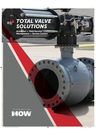 TOTAL VALVE
SOLUTIONS
DNB-140001TotalValueSolutions.indd 1 5/1/2014 11:21:30 AM
 