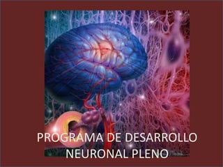 PROGRAMA DE DESARROLLO
NEURONAL PLENO
 