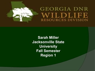 Sarah Miller
Jacksonville State
    University
  Fall Semester
    Region 1
 