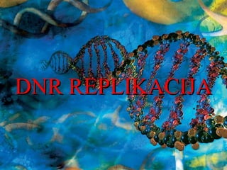 DNR REPLIKACIJADNR REPLIKACIJA
 