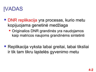 ĮVADAS
 DNR replikacija yra procesas, kurio metu
kopijuojama genetinė medžiaga
 Originalios DNR grandinės yra naudojamos...