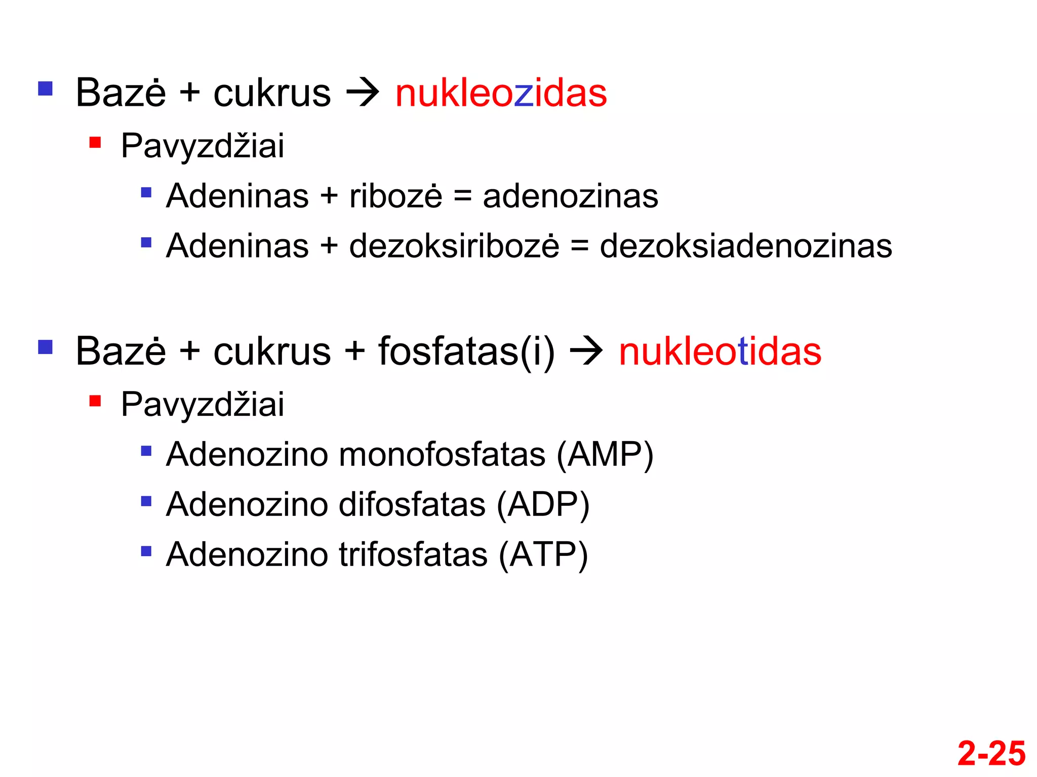 DNR ir RNR molekulinė struktūra | PPT