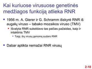 2-18
 1956 m. A. Gierer ir G. Schramm išskyrė RNR iš
augalų viruso – tabako mozaikos viruso (TMV)
 Išvalyta RNR sukeldavo tas pačs pažaidas, kaip ir
intaktinis TMV

Taigi, šių virusų genomą sudaro RNR
 Dabar aptikta nemažai RNR virusų
Kai kuriuose virusuose genetinės
medžiagos funkciją atlieka RNR
 