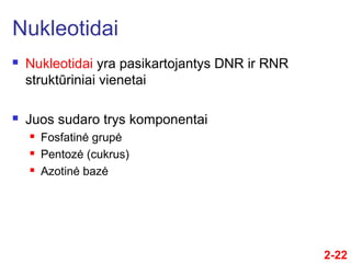 2-22
 Nukleotidai yra pasikartojantys DNR ir RNR
struktūriniai vienetai
 Juos sudaro trys komponentai
 Fosfatinė grupė
 Pentozė (cukrus)
 Azotinė bazė
Nukleotidai
 