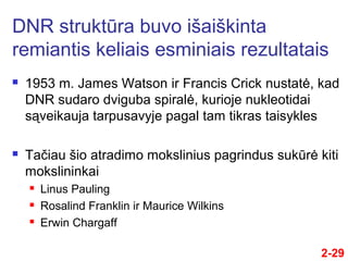 2-29
 1953 m. James Watson ir Francis Crick nustatė, kad
DNR sudaro dviguba spiralė, kurioje nukleotidai
sąveikauja tarpusavyje pagal tam tikras taisykles
 Taču šio atradimo mokslinius pagrindus sukūrė kiti
mokslininkai
 Linus Pauling
 Rosalind Franklin ir Maurice Wilkins
 Erwin Chargaff
DNR struktūra buvo išaiškinta
remiantis keliais esminiais rezultatais
 