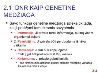  Savo funkciją genetinė medžiaga atlieka tik tada,
kai ji pasižymi tam tikromis savybėmis
 1. Informacija: Ji privalo turėti informaciją, būtiną visam
organizmui sukurti
 2. Paveldėjimu: Ji privalo būti perduodama iš tėvų
vaikams
 3. Replikacija: Ji turi būti kopijuojama

Tada ji gali būti perduodama iš tėvų vaikams
 4. Kintamumu: Ji privalo gebėti keistis

Toks kintamumas užtikrina plači stebima fenotpinę variaciją
kiekvienos rūšies viduje
2-3
2.1 DNR KAIP GENETINĖ
MEDŽIAGA
 