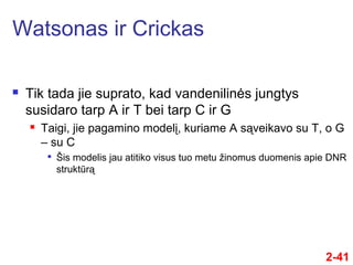 2-41
 Tik tada jie suprato, kad vandenilinės jungtys
susidaro tarp A ir T bei tarp C ir G
 Taigi, jie pagamino modelį, kuriame A sąveikavo su T, o G
– su C

Šis modelis jau atitiko visus tuo metu žinomus duomenis apie DNR
struktūrą
Watsonas ir Crickas
 