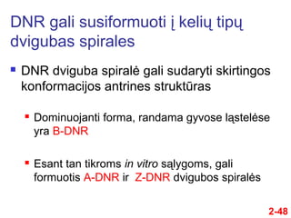 2-48
 DNR dviguba spiralė gali sudaryti skirtingos
konformacijos antrines struktūras
 Dominuojanti forma, randama gyvose ląstelėse
yra B-DNR
 Esant tan tikroms in vitro sąlygoms, gali
formuotis A-DNR ir Z-DNR dvigubos spiralės
DNR gali susiformuoti į kelių tipų
dvigubas spirales
 