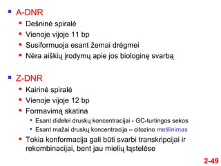 2-49
 A-DNR
 Dešninė spiralė
 Vienoje vijoje 11 bp
 Susiformuoja esant žemai drėgmei
 Nėra aiškių įrodymų apie jos biologinę svarbą
 Z-DNR
 Kairinė spiralė
 Vienoje vijoje 12 bp
 Formavimą skatina

Esant didelei druskų koncentracijai - GC-turtingos sekos

Esant mažai druskų koncentracija – citozino metilinimas
 Tokia konformacija gali būti svarbi transkripcijai ir
rekombinacijai, bent jau mielių ląstelėse
 