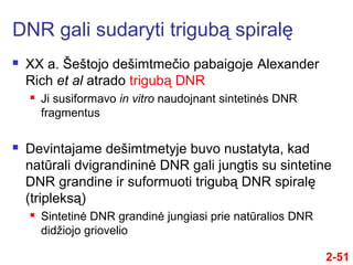 2-51
 XX a. Šeštojo dešimtmečio pabaigoje Alexander
Rich et al atrado trigubą DNR
 Ji susiformavo in vitro naudojnant sintetinės DNR
fragmentus
 Devintajame dešimtmetyje buvo nustatyta, kad
natūrali dvigrandininė DNR gali jungtis su sintetine
DNR grandine ir suformuoti trigubą DNR spiralę
(tripleksą)
 Sintetinė DNR grandinė jungiasi prie natūralios DNR
didžiojo griovelio
DNR gali sudaryti trigubą spiralę
 