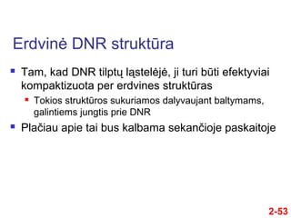 2-53
 Tam, kad DNR tilptų ląstelėjė, ji turi būti efektyviai
kompaktizuota per erdvines struktūras
 Tokios struktūros sukuriamos dalyvaujant baltymams,
galintiems jungtis prie DNR
 Plaču apie tai bus kalbama sekančioje paskaitoje
Erdvinė DNR struktūra
 