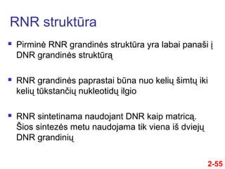 2-55
 Pirminė RNR grandinės struktūra yra labai panaši į
DNR grandinės struktūrą
 RNR grandinės paprastai būna nuo kelių šimtų iki
kelių tūkstančių nukleotidų ilgio
 RNR sintetinama naudojant DNR kaip matricą.
Šios sintezės metu naudojama tik viena iš dviejų
DNR grandinių
RNR struktūra
 