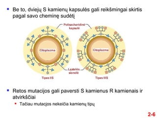  Be to, dviejų S kamienų kapsulės gali reikšmingai skirtis
pagal savo cheminę sudėtį
2-6
 Retos mutacijos gali paversti S kamienus R kamienais ir
atvirkšči
 Taču mutacjos nekeič kamienų tipų
 