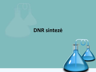DNR sintezė
 