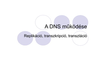 A DNS működése Replikáció, transzkripció, transzláció 