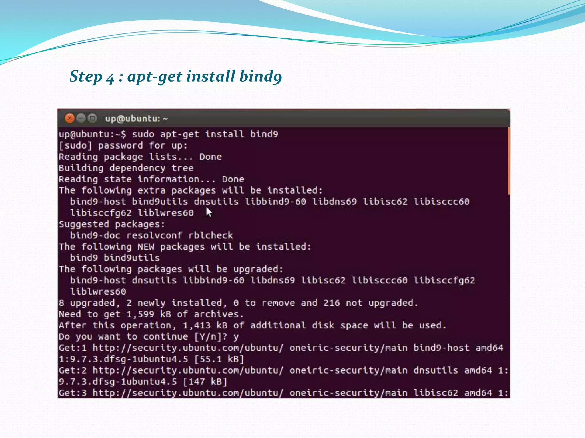Step 4 : apt-get install bind9
 