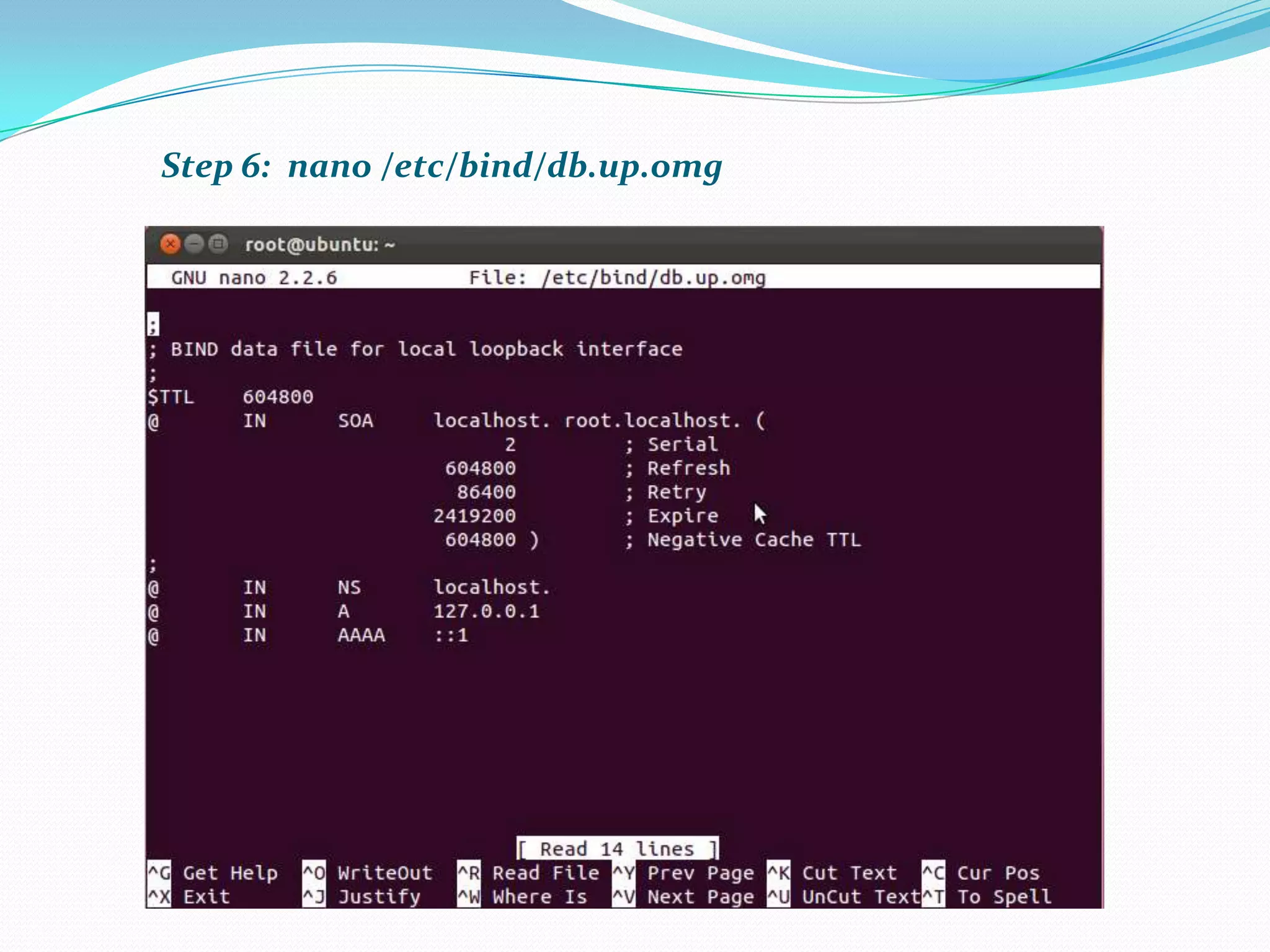 Step 6: nano /etc/bind/db.up.omg
 