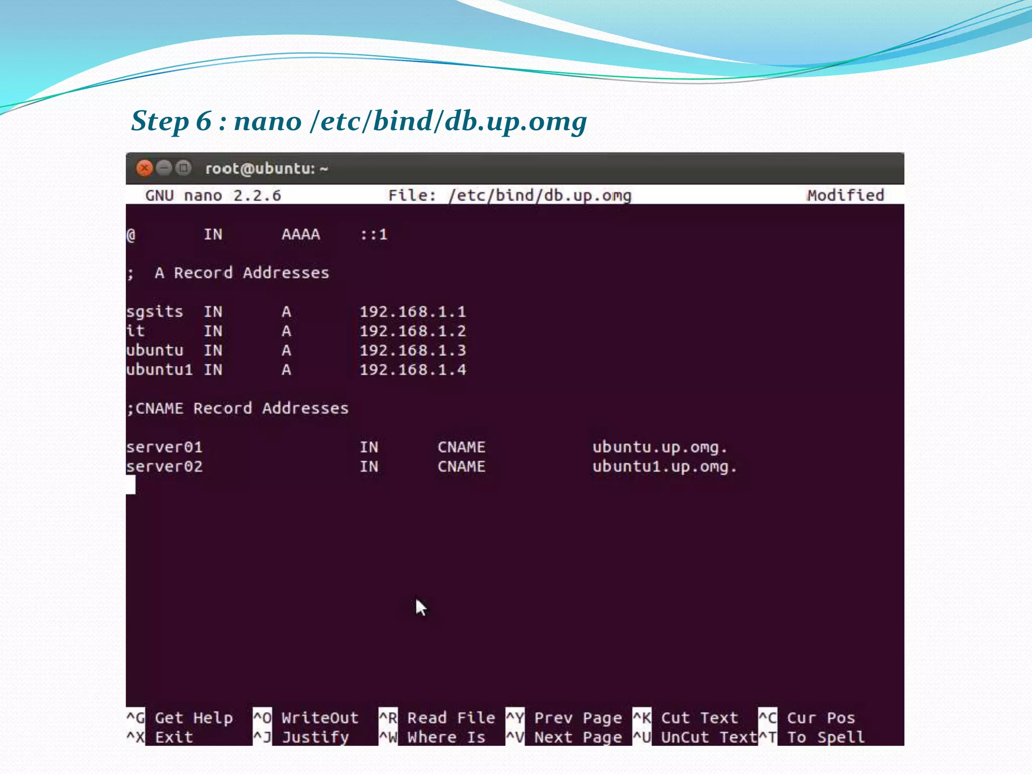 Step 6 : nano /etc/bind/db.up.omg
 