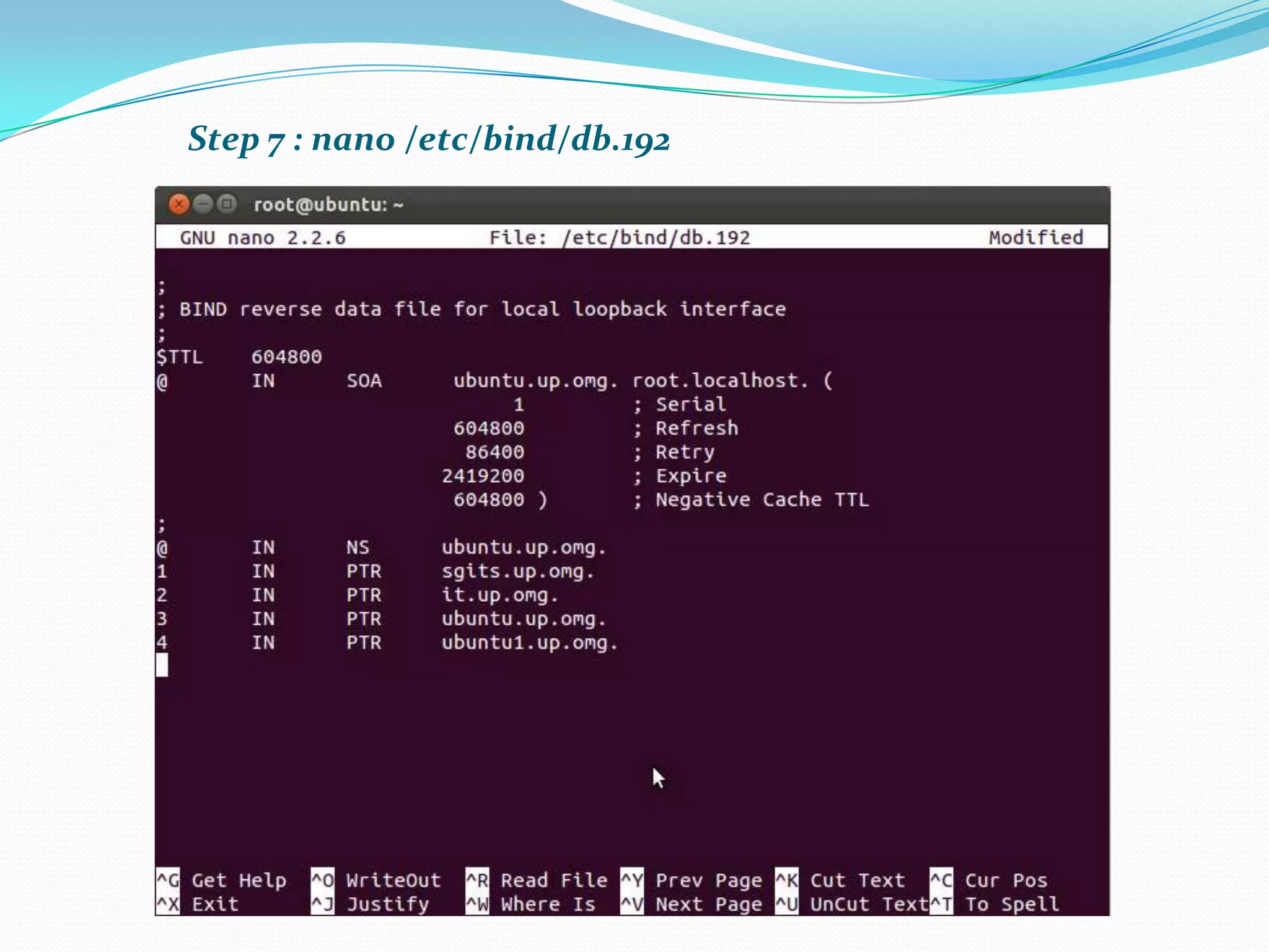 Step 7 : nano /etc/bind/db.192
 