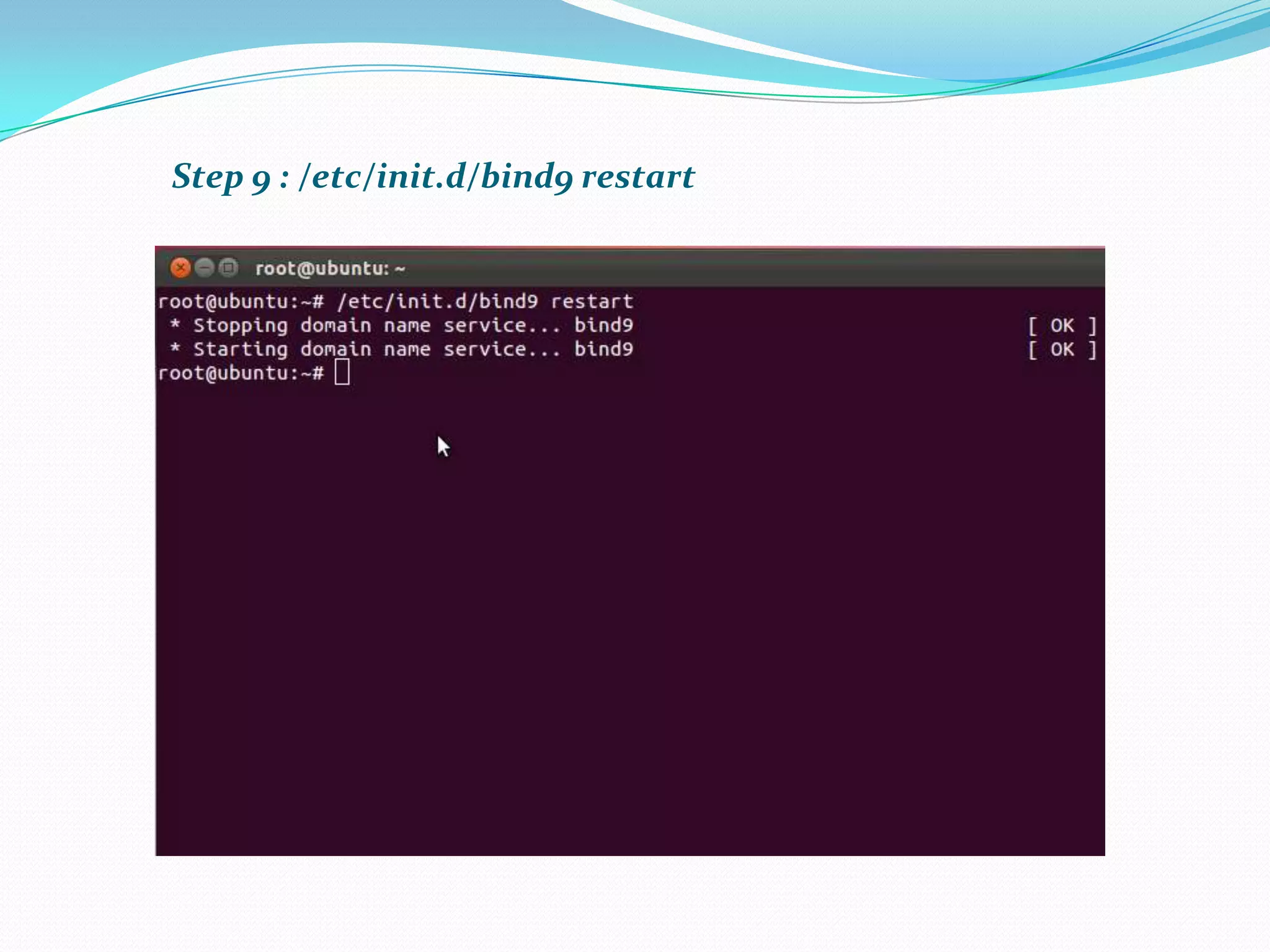 Step 9 : /etc/init.d/bind9 restart
 