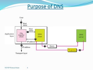 Purpose of DNS 
User 
Host 
name 
1 
IP address 
6 
TCP/IP Protocol Suite 6 
Host 
name 
2 
3 Query 
Response 4 
IP address 
5 
Transport layer 
 