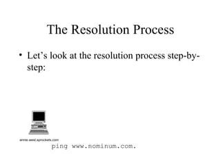 The Resolution Process 
• Let’s look at the resolution process step-by-step: 
annie.west.sprockets.com 
ping www.nominum.com. 
 