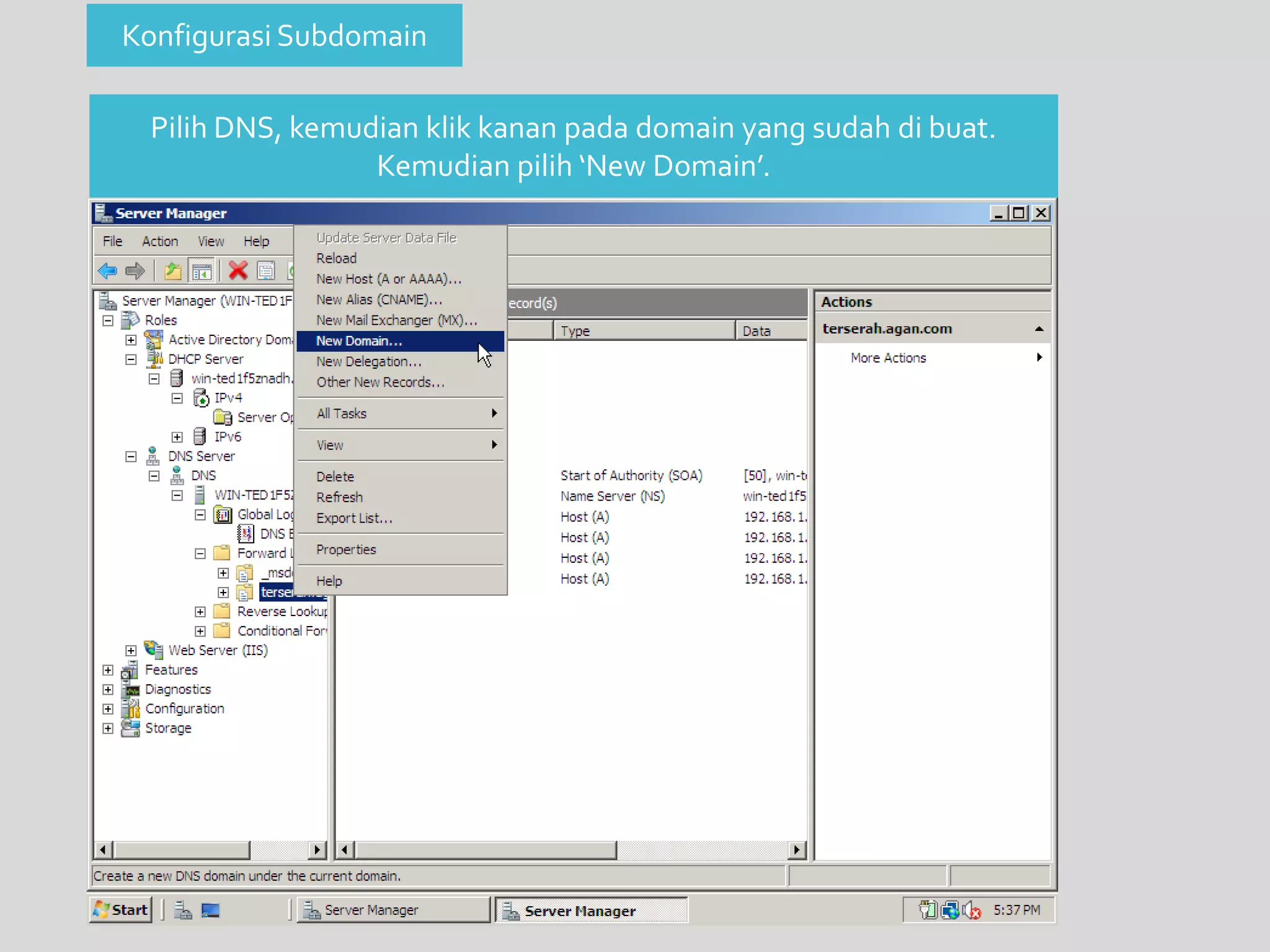 Konfigurasi Subdomain 
Pilih DNS, kemudian klik kanan pada domain yang sudah di buat. 
Kemudian pilih ‘New Domain’. 
 
