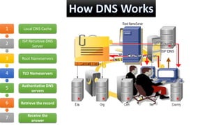 1
2
3
4
5
6
7
Local DNS Cache
ISP Recursive DNS
Server
Root Nameservers
TLD Nameservers
Authoritative DNS
servers
Retrieve the record
Receive the
answer
 