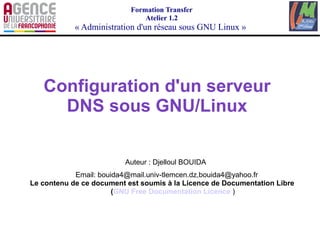 dns linux configuration presentation learn | PDF