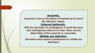 Comprehensive Overview of Deviated Nasal Septum: Anatomy, Diagnosis ...