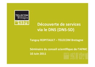 Découverte	
  de	
  services
       via	
  le	
  DNS	
  (DNS-­‐SD)

Tanguy	
  ROPITAULT	
  –	
  TELECOM	
  Bretagne

Séminaire	
  du	
  conseil	
  scienFﬁque	
  de	
  l’AFNIC
10	
  Juin	
  2011
 