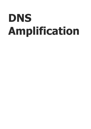 DNS
Amplification
 