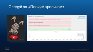 Следуй за «Плохим кроликом»
 