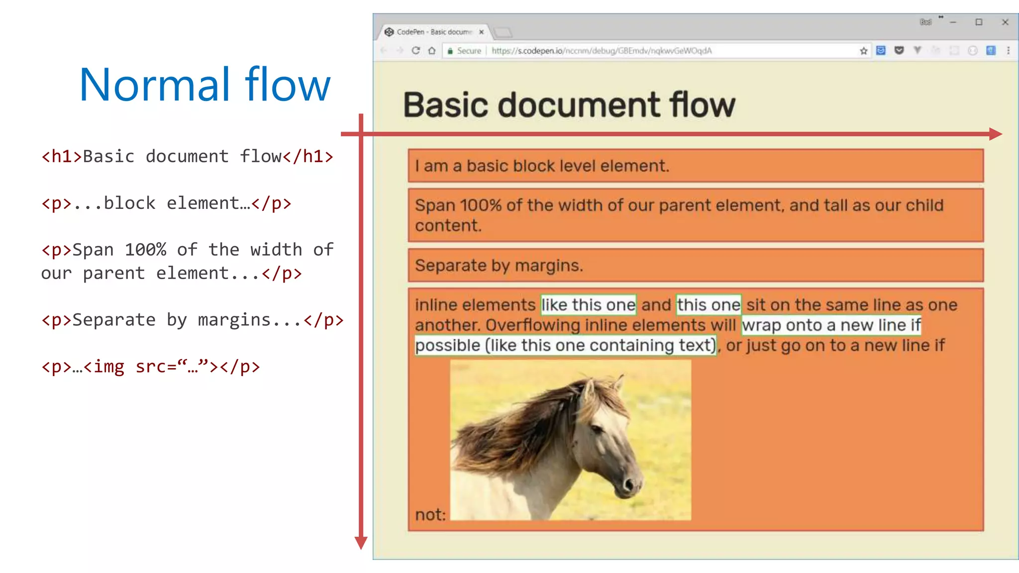 <h1>Basic document flow</h1>
<p>...block element…</p>
<p>Span 100% of the width of
our parent element...</p>
<p>Separate by margins...</p>
<p>…<img src=“…”></p>
Normal flow
 