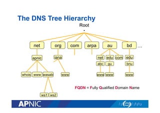 The DNS Tree Hierarchy
Root

.

net

org

com

apnic

iana

arpa

au

www

…

net edu com edu
abc

whois www wasabi

bd

gu

www www

bnu
www

FQDN = Fully Qualified Domain Name
ws1 ws2

 